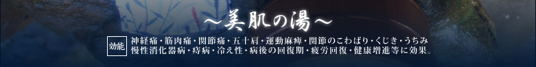 美肌の湯：神経痛・筋肉痛・関節痛・五十肩・運動麻痺・関節のこわばり・くじき・うちみ・慢性消化器病・痔病・冷え性・病後の回復期・疲労回復・健康増進などに効果